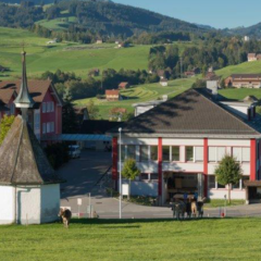 Steig - Wohnen und Arbeiten